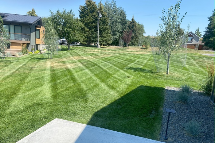 Commercial Property Maintenance in Winnipeg