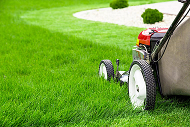 Lawn Care & Mowing in Winnipeg
