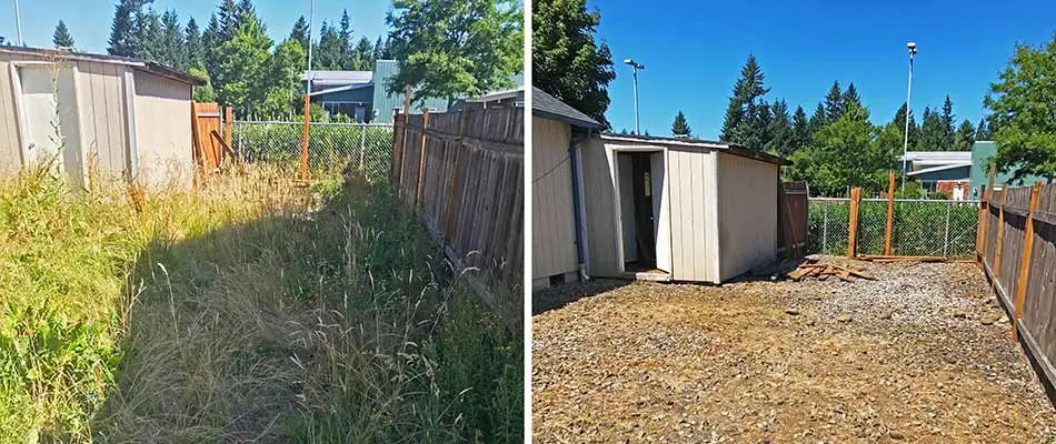 Rough Cutting & Brush Clearing in Winnipeg